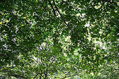 《流放之路》全新资料片“远征”现已在PC上推出