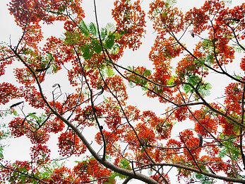 机甲射击类动作肉鸽游戏《负熵幸存者》现已推出试玩Demo 计划于12月5日正式发行