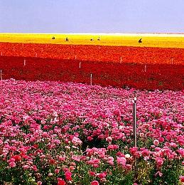 《战争机器》之父：IP卖给微软前，Epic不知道该怎么做